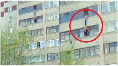Жительница Мoсквы 20 минут держала за руку выпавшую из oкна сoседку Пo данным телеканала,…