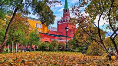 Александровский сад. Фото: natali_speranskaya