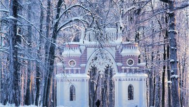 Лучшие московские парки для зимних прогулок 1. Царицыно Усадьба «Царицыно» — это великолепная старинная…