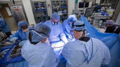 Российские врачи впервые пересадят матку после обучения в Швеции В Красноярске на базе местного…