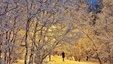 Сказочный зимний вечер в Тропарёвском лесопарке Фото: [id10326193|Оля Паламарчук]