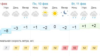 Погода в Москве на 3 дня