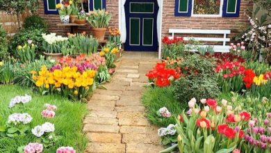Доброе утро! Друзья! Деревенский домик утопает в цветах в «Аптекарском огороде» на проспекте Мира….