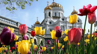 Друзья! По календарю наступила весна! Теперь мы все с нетерпением ждем, когда Москва расцветет!