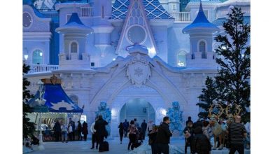 в Москве открылся «Остров мечты» — самый большой крытый парк развлечений в Европе. На…