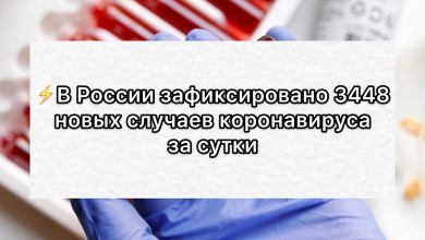⚡️В России зафиксировано 3448 новых случаев коронавируса, 34 летальных исхода….