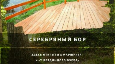 Прогулка по экологические тропам в парках Москвы — одна из лучших идей побыть, наконец,…