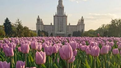 Любимая моя Москва, доброе  воскресное утро