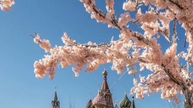 Солнечная Москва прекрасна! #Москва #Весна