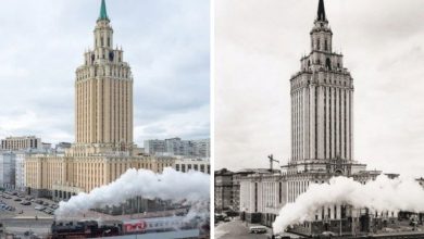 Москва 19602019