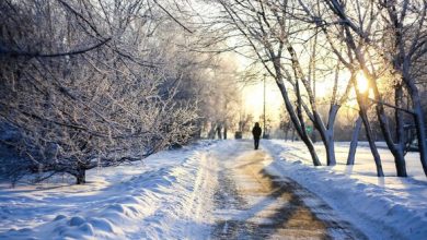 Астрономическая зима в Москве наступит днем 21 декабря Астрономическая зима в Москве наступит днем…