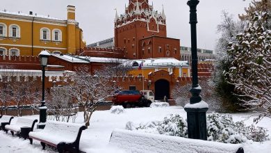 Александровский сад. Фото: t_tyane