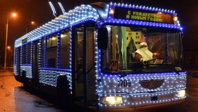 В связи с проведением рождественских богослужений в ночь на 7 января работа Московского метрополитена…