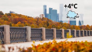 Сегодня пасмурно, ++5°, слабый ветер и давление выше нормы. #всеомоскве #москва #погода #иопогоде #осень2020