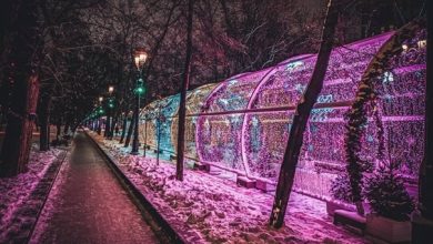 Новогодний тоннель на Тверском бульваре