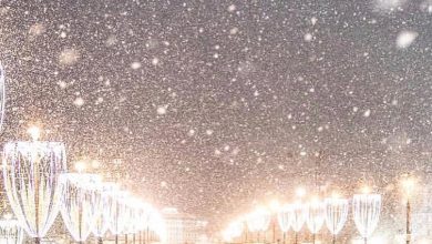 Вечером 13 января в столице начнется сильный снег. Также ожидаются снежные заносы, метель и…