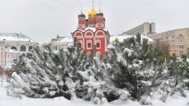 Температуру в системе отопления Москвы подняли до максимума. Заместитель мэра Москвы Петр Бирюков сообщил,…