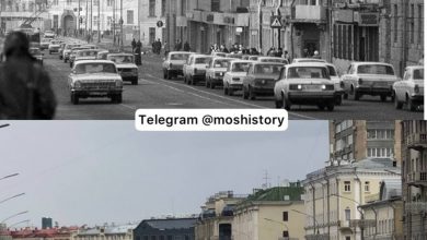Вид на стрелку Москвы- реки (1974 год и наши дни). Источник: