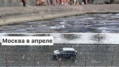 Москва vs Петербург