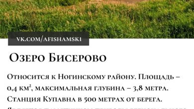 Топ-10 красивых озер Московской области