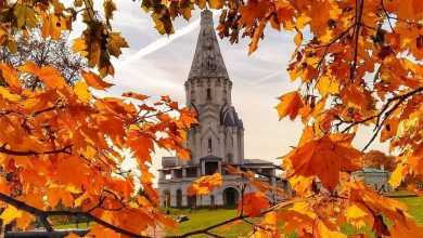 Прекрасная осень #Москва #Осень2019
