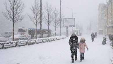 ️ Сегодня вечером Москву накроет снегопад. Снег пойдет после 21:00. Также возможна метель и…
