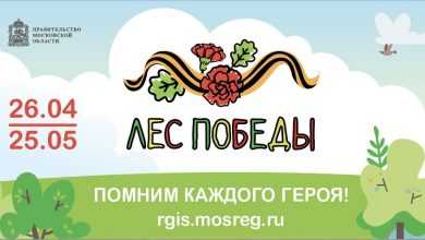 Жителей Московской области пригласили принять участие в акции «Лес Победы»: