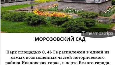 ТОП-8 красивых московских парков для летних прогулок: