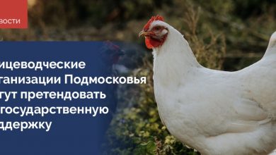 Для получения субсидий необходимо предоставить пакет документов в Министерство сельского хозяйства Московской области до…