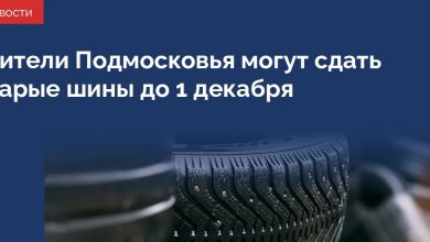 Акция «Сдай старые шины на переработку!» продлена до 1 декабря, теперь у жителей Московской…