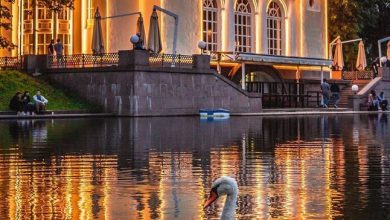 Вечерняя сказка на Патриарших прудах #Москва #ПатриаршиеПруды