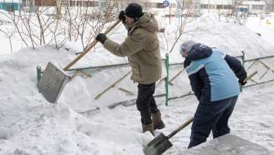 В Госдуме предложили призывать к уборке снега должников за ЖКХ. «В Москве были случаи,…