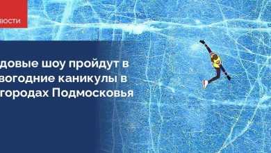 Губернатор Андрей Воробьев, исходя из запроса жителей, принял решение продолжить проект «Ледниковый период» с…
