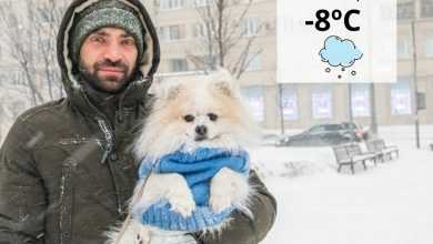 Доброе утро! В понедельник в Москве облачно с прояснениями, небольшой снег и слабый ветер….