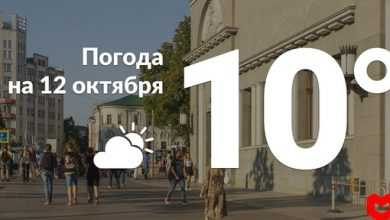 В среду температура воздуха + градусов, днём без существенных осадков. #всеомоскве #москва #погода #иопогоде