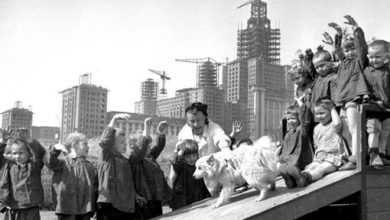 Детский сад на прогулке. На заднем плане — строительство МГУ, 1951 год