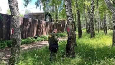 В Домодедово вырубят 17 аварийных деревьев Лесничие уже определили участки. Об этом сообщает Комлесхоз…