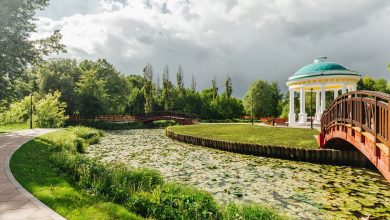 Парк «Яуза» — проект, который затронет 10 районов столицы Это один из наиболее масштабных…